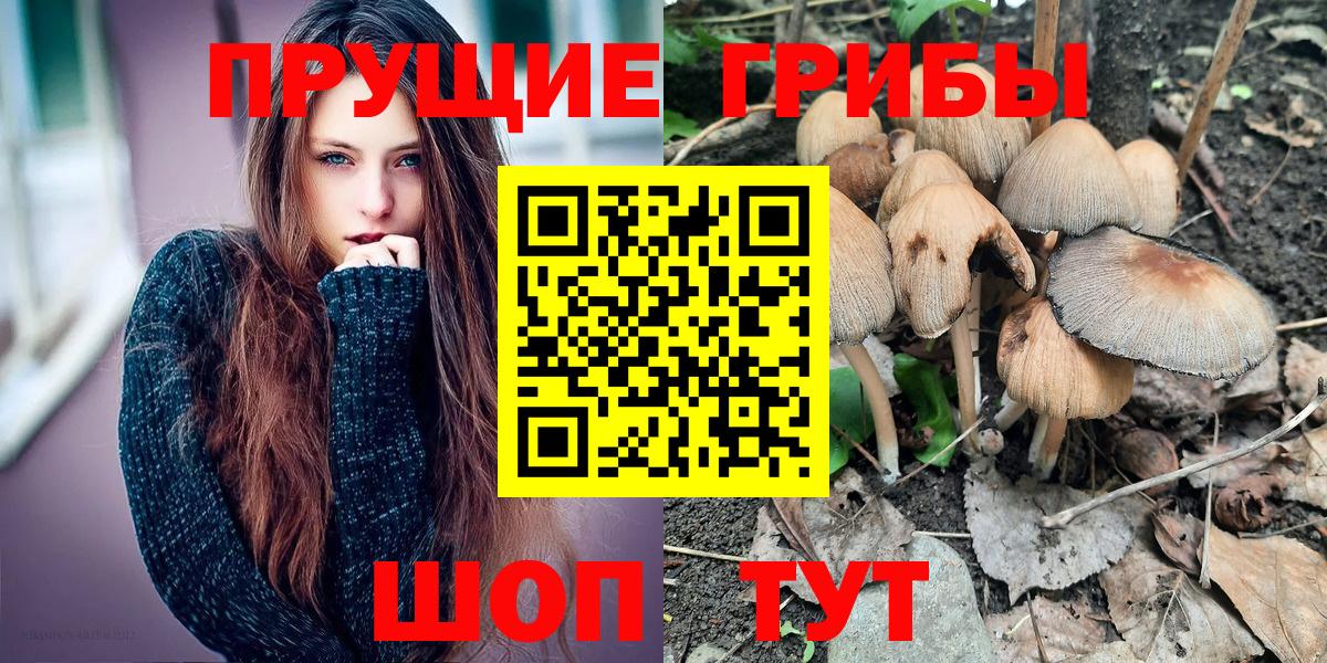 Галлюциногенные грибы мухоморы Осинники