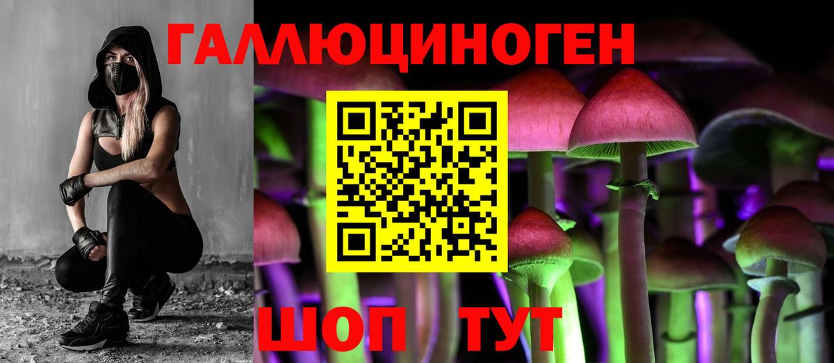 Галлюциногенные грибы прущие грибы  купить наркотик  Вход с VPN  Осинники  Галлюциногенные грибы Psilocybe 